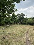 IMG_3179