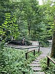 IMG_3155