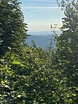 IMG_3215