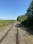 IMG_3243