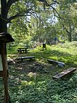 IMG_3244