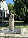 IMG_3250