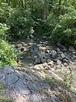 IMG_3245