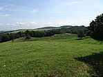 DSC08166