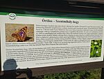 IMG_20240723_180018