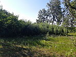 20240728_165901[1]