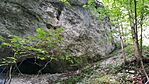 IMG_20240722_110901