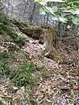 IMG_20240629_114845