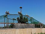 IMG_20240718_111758