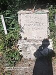 20240729_165236.heic