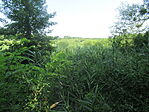 IMG_1206