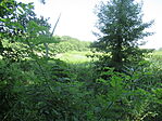 IMG_1207