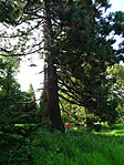 DSC09351