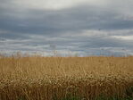 DSC09359