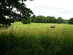 DSC09375