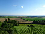 DSC09395