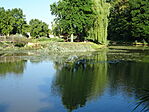 DSC09399