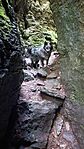 IMG_20240715_141123
