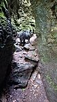 IMG_20240715_141112