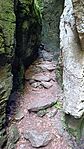 IMG_20240715_141034