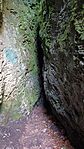 IMG_20240715_141029