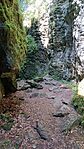 IMG_20240715_140906