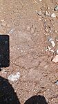 IMG_20240718_121434