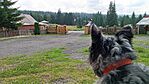 IMG_20240719_124924