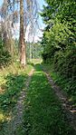 IMG_20240716_130845