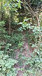 IMG_20240716_130849
