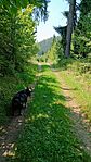 IMG_20240716_130903