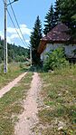 IMG_20240716_131029