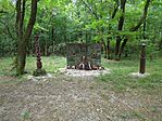 IMG_20240720_102818_997.jpg_compressed