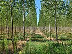 IMG_20240728_095705_697.jpg_compressed