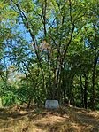 IMG_20240728_095632_568.jpg_compressed