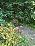 IMG_20240728_125700_643.jpg_compressed