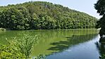 IMG_20240718_123231.jpg