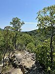 IMG_7931