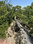 IMG_7933