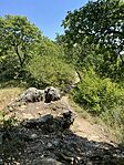 IMG_7936