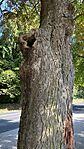 IMG_6023