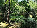 IMG_20240712_124109
