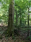 IMG_20240713_111325
