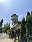 IMG_20240715_133859