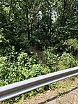 IMG_20240715_134518