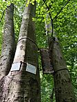 IMG_20240721_095644