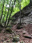 IMG_20240721_101817
