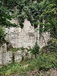 IMG_20240721_104313