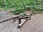 IMG_20240721_105723