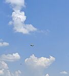 IMG_20240723_203250